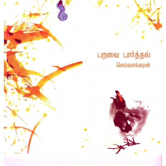 பறவை பார்த்தல் பறவை பார்த்தல்