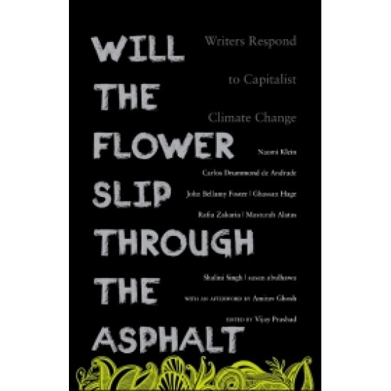 Will the Flower Slip Through the Asphalt Will the Flower Slip Through the Asphalt